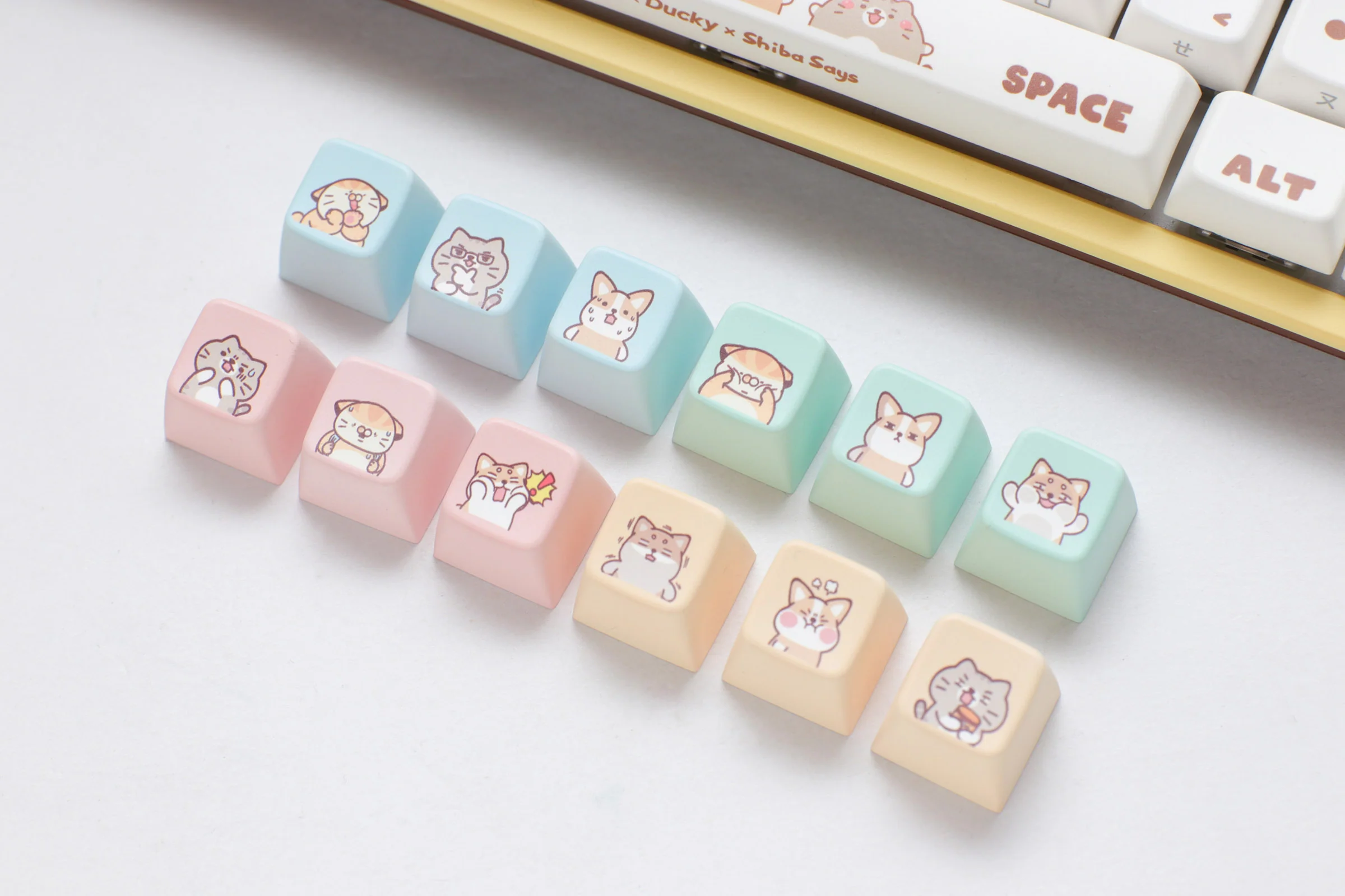 Product image 17