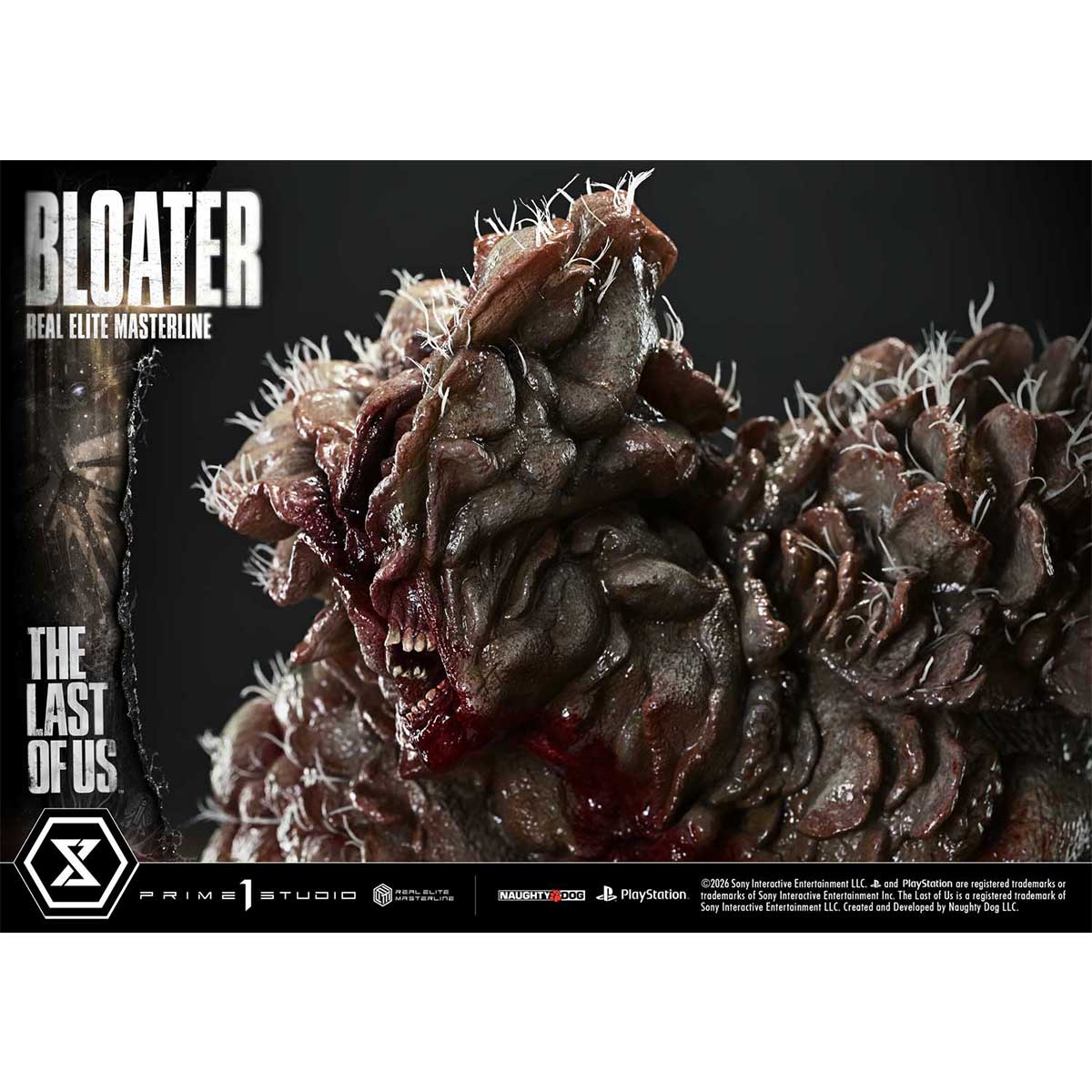 Product image 50