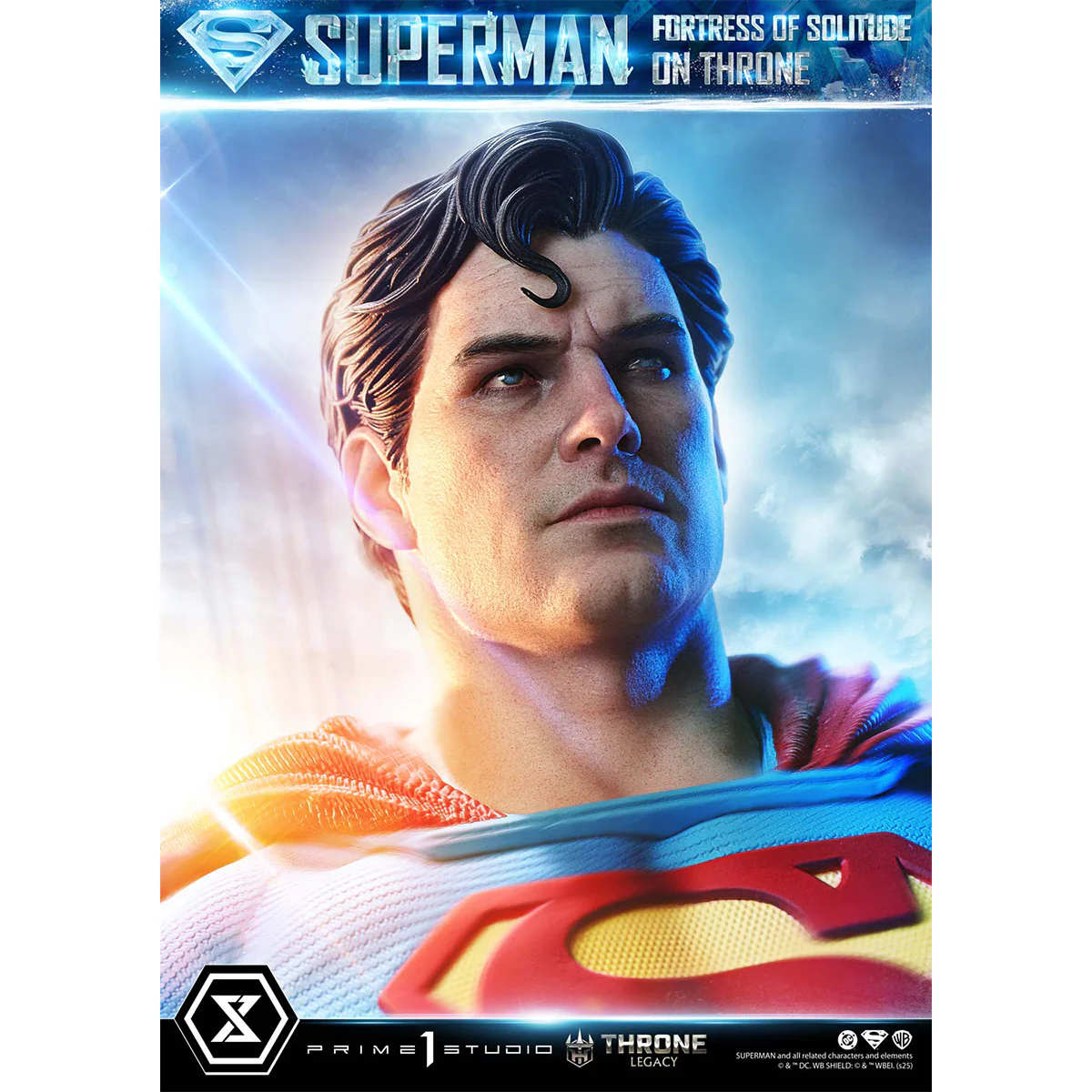 Product image 100
